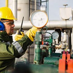 Inspection Services